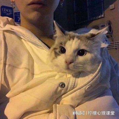 天命西游手游下载