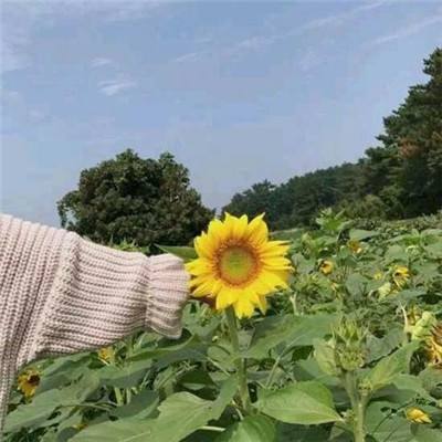 合并漂移手机版下载